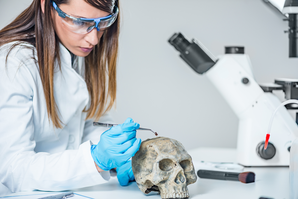 A Look at Forensic Dentistry & How Teeth Are Used to Identify a Person