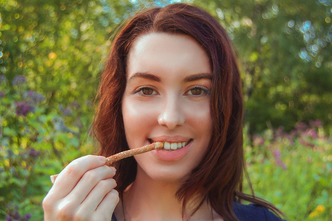 miswak chewing stick